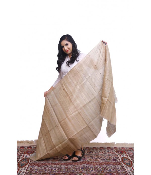 Authentic classic pure silk scarf.